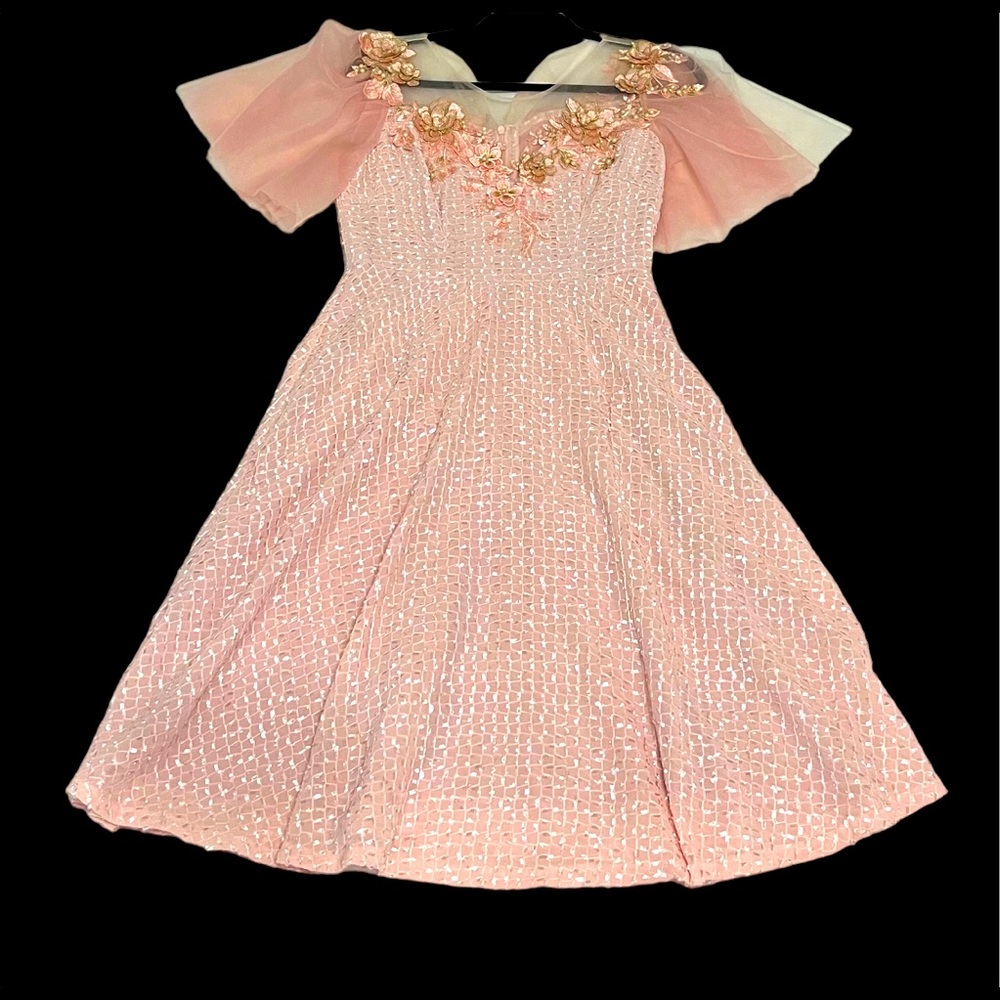 Pink, Nude, Chiffon Super Nice Dress
